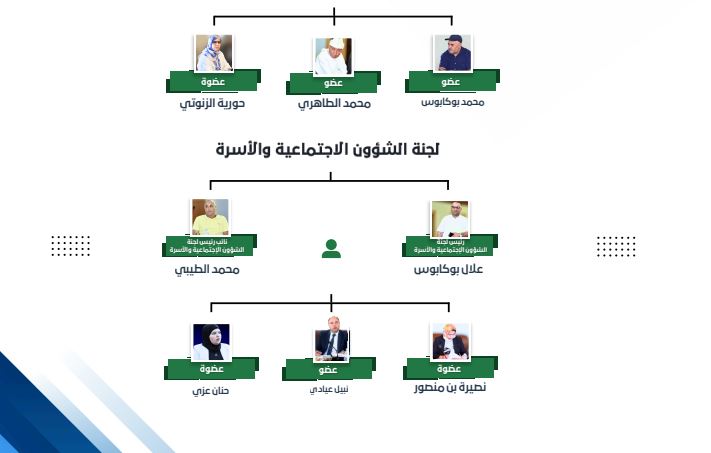 تشكيلة لجان المجلس